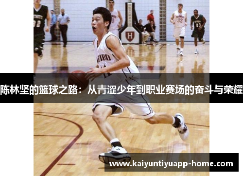 陈林坚的篮球之路：从青涩少年到职业赛场的奋斗与荣耀
